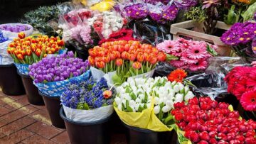 راز گل‌های بهاری نوروز | گل لر | سفره هفت‌ سین