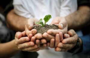 احساسات گیاهان | گل لر | ارتباط گیاهان با انسان | آیا گیاهان درد را حس می‌کنند؟